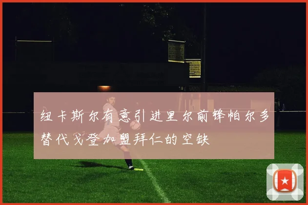 纽卡斯尔有意引进里尔前锋帕尔多替代戈登加盟拜仁的空缺